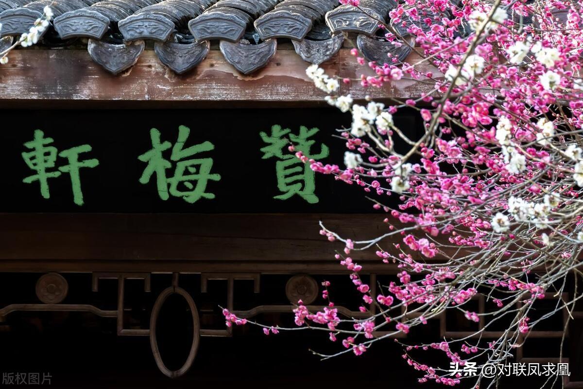 主懷安息與安息主懷有何區(qū)別_安息主懷對(duì)聯(lián)_安息主懷中