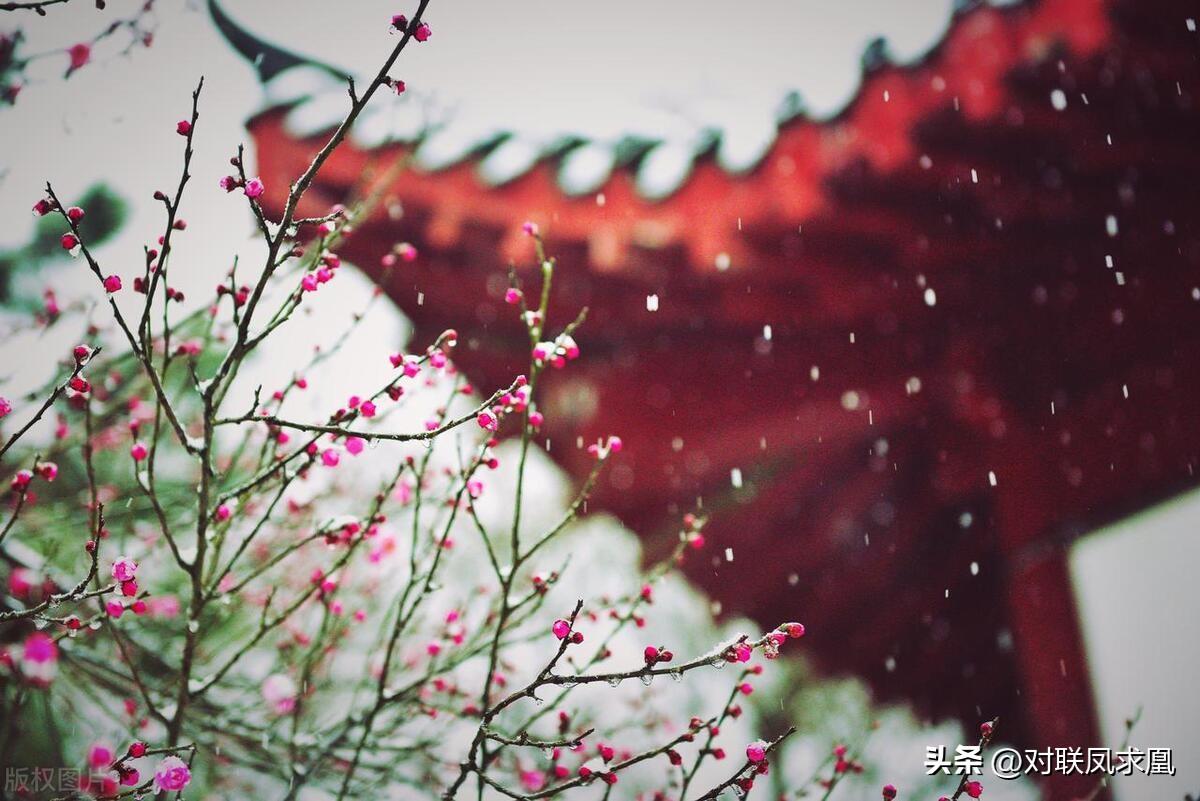 安息主懷對(duì)聯(lián)_安息主懷中_主懷安息與安息主懷有何區(qū)別