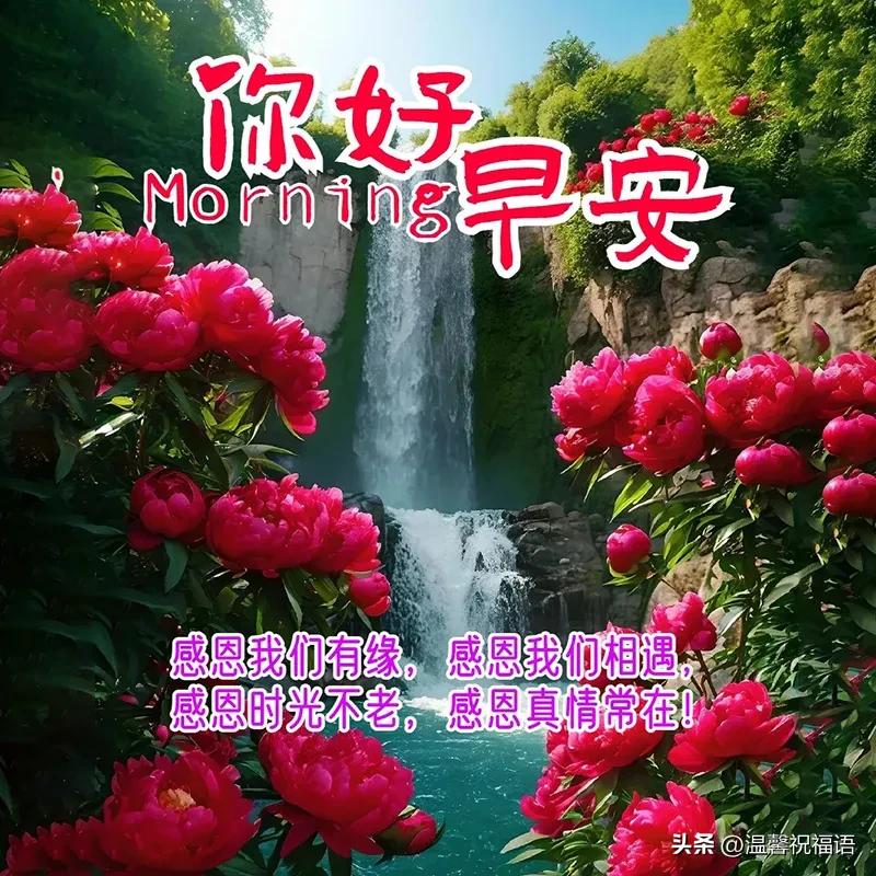 早安祝福語短語_早安祝福語短句_早安語祝福短句大全
