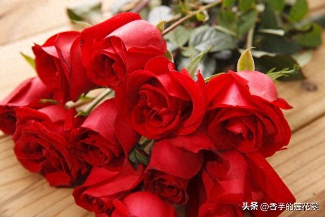 貼心祝福老婆生日快樂的話！老婆看了一定感動！