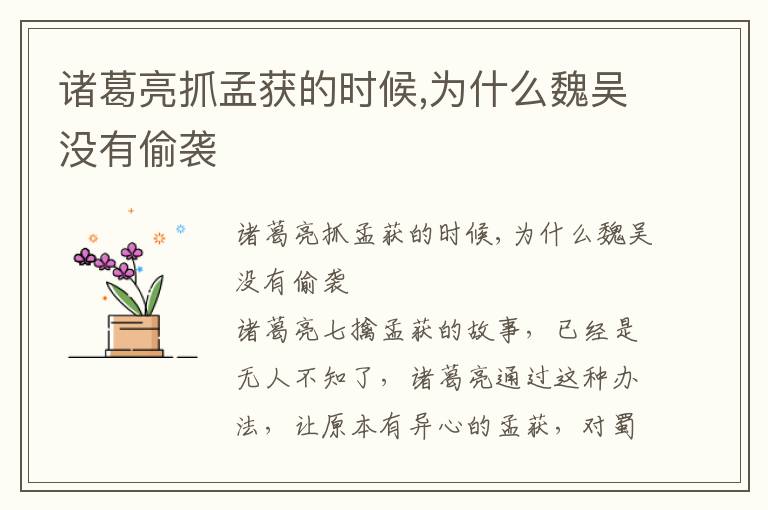 諸葛亮抓孟獲的時候,為什么魏吳沒有偷襲