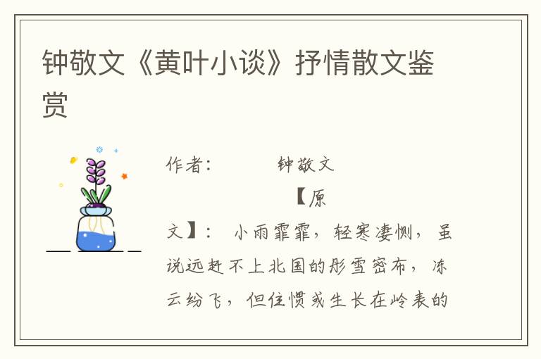 鐘敬文《黃葉小談》抒情散文鑒賞