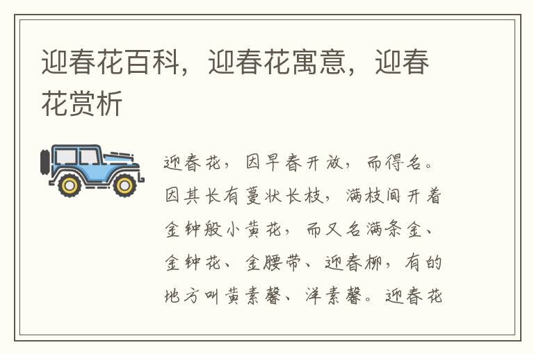 迎春花百科，迎春花寓意，迎春花賞析