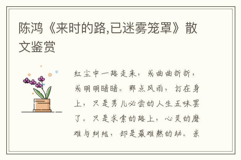 陳鴻《來時的路,已迷霧籠罩》散文鑒賞