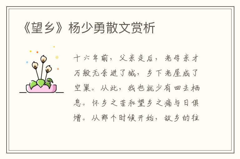 《望鄉(xiāng)》楊少勇散文賞析
