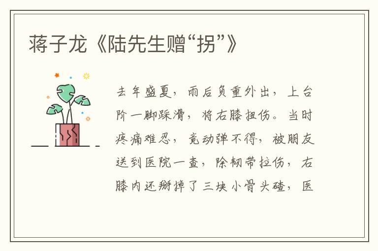 蔣子龍《陸先生贈(zèng)“拐”》