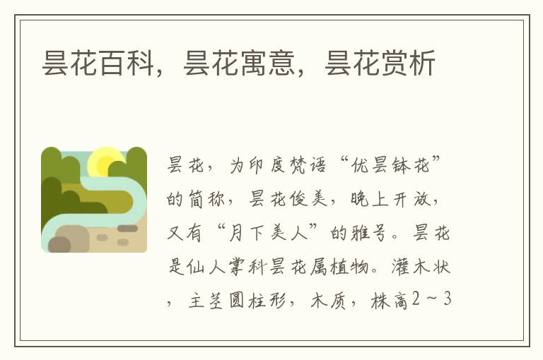 曇花百科，曇花寓意，曇花賞析