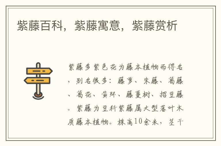 紫藤百科，紫藤寓意，紫藤賞析