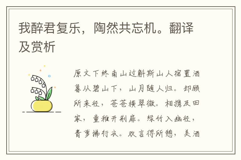 我醉君復(fù)樂，陶然共忘機(jī)。翻譯及賞析
